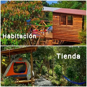 Camping Camping Entre Arboles